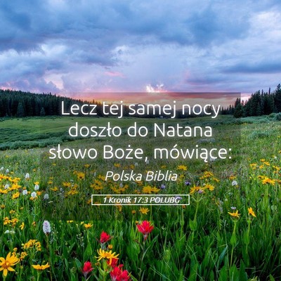 Picture 05 - 1 Kronik 17:3 POLUBG - Lecz tej samej nocy doszło do Natana słowo - Bible Verse Picture