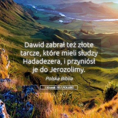 Picture 05 - 1 Kronik 18:7 POLUBG - Dawid zabrał też złote tarcze, które mieli - Bible Verse Picture