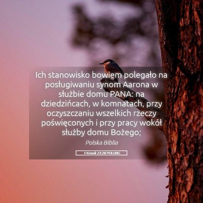 Picture 05 - 1 Kronik 23:28 POLUBG - Ich stanowisko bowiem polegało na posługiwaniu - Bible Verse Picture