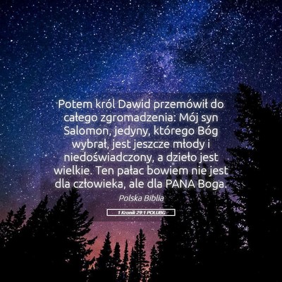 Picture 05 - 1 Kronik 29:1 POLUBG - Potem król Dawid przemówił do całego - Bible Verse Picture