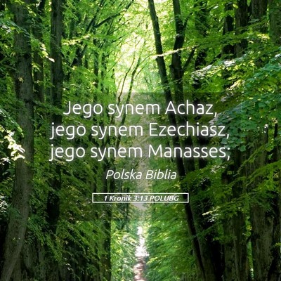 Picture 05 - 1 Kronik 3:13 POLUBG - Jego synem Achaz, jego synem Ezechiasz, jego - Bible Verse Picture