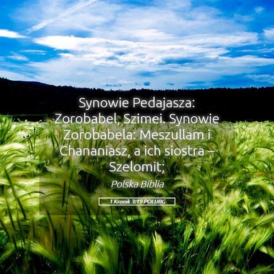 Picture 05 - 1 Kronik 3:19 POLUBG - Synowie Pedajasza: Zorobabel, Szimei. Synowie - Bible Verse Picture