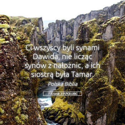 Picture 05 - 1 Kronik 3:9 POLUBG - Ci wszyscy byli synami Dawida, nie licząc synów - Bible Verse Picture