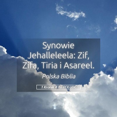 Picture 05 - 1 Kronik 4:16 POLUBG - Synowie Jehalleleela: Zif, Zifa, Tiria i - Bible Verse Picture