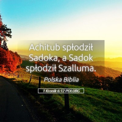 Picture 05 - 1 Kronik 6:12 POLUBG - Achitub spłodził Sadoka, a Sadok spłodził - Bible Verse Picture