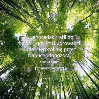 Picture 05 - 1 Kronik 6:15 POLUBG - A Jehocadak trafił do niewoli, gdy PAN - Bible Verse Picture