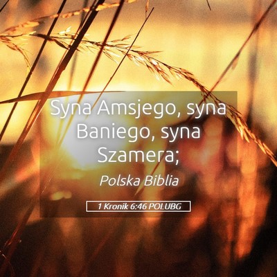 Picture 05 - 1 Kronik 6:46 POLUBG - Syna Amsjego, syna Baniego, syna - Bible Verse Picture