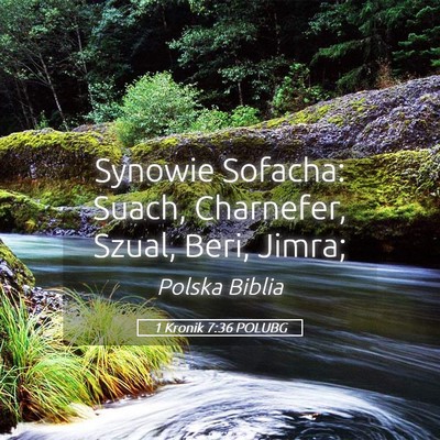 Picture 05 - 1 Kronik 7:36 POLUBG - Synowie Sofacha: Suach, Charnefer, Szual, Beri, - Bible Verse Picture
