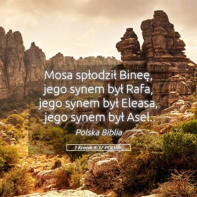 Picture 05 - 1 Kronik 8:37 POLUBG - Mosa spłodził Bineę, jego synem był Rafa, - Bible Verse Picture