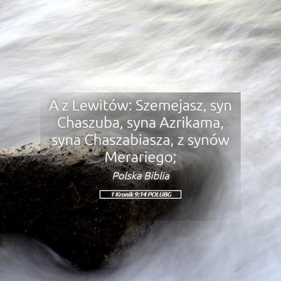 Picture 05 - 1 Kronik 9:14 POLUBG - A z Lewitów: Szemejasz, syn Chaszuba, syna - Bible Verse Picture