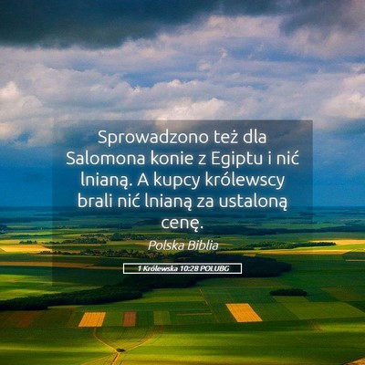 Picture 05 - 1 Królewska 10:28 POLUBG - Sprowadzono też dla Salomona konie z Egiptu i - Bible Verse Picture