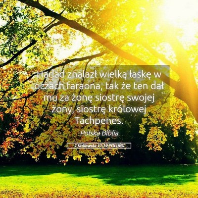 Picture 05 - 1 Królewska 11:19 POLUBG - Hadad znalazł wielką łaskę w oczach faraona, - Bible Verse Picture
