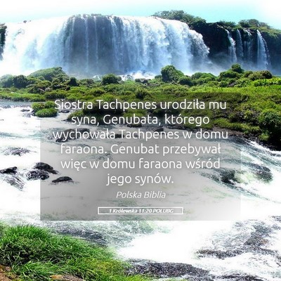 Picture 05 - 1 Królewska 11:20 POLUBG - Siostra Tachpenes urodziła mu syna, Genubata, - Bible Verse Picture