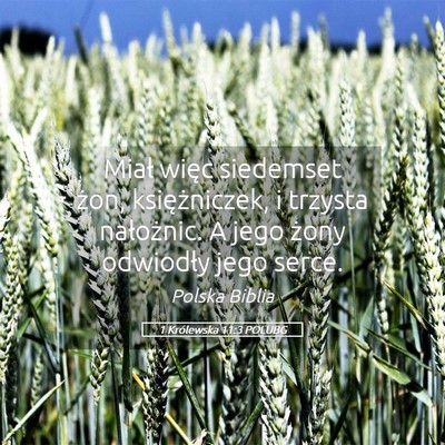 Picture 05 - 1 Królewska 11:3 POLUBG - Miał więc siedemset żon, księżniczek, i - Bible Verse Picture