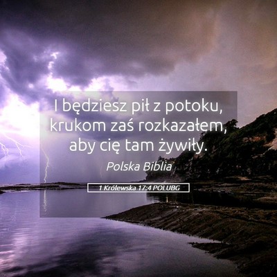 Picture 05 - 1 Królewska 17:4 POLUBG - I będziesz pił z potoku, krukom zaś - Bible Verse Picture