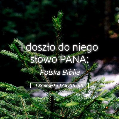 Picture 05 - 1 Królewska 17:8 POLUBG - I doszło do niego słowo - Bible Verse Picture