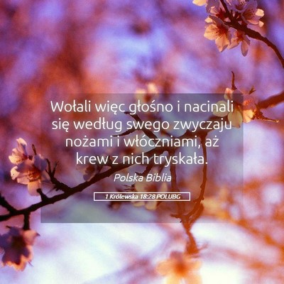 Picture 05 - 1 Królewska 18:28 POLUBG - Wołali więc głośno i nacinali się według - Bible Verse Picture