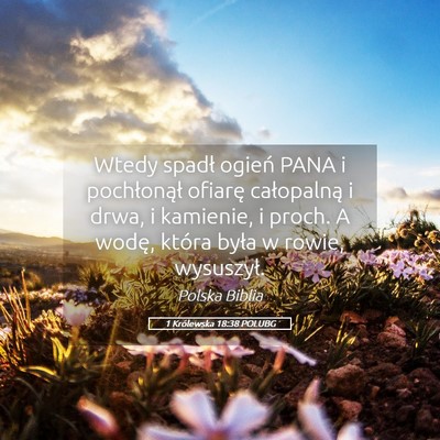 Picture 05 - 1 Królewska 18:38 POLUBG - Wtedy spadł ogień PANA i pochłonął ofiarę - Bible Verse Picture