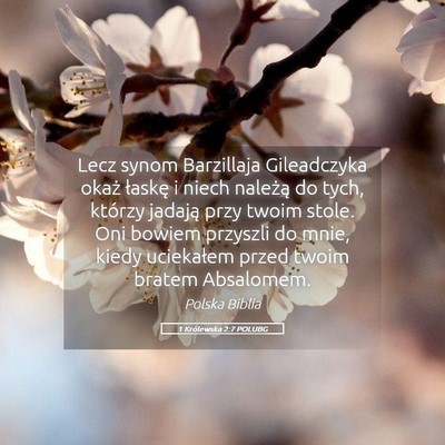 Picture 05 - 1 Królewska 2:7 POLUBG - Lecz synom Barzillaja Gileadczyka okaż łaskę i - Bible Verse Picture