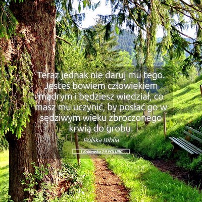 Picture 05 - 1 Królewska 2:9 POLUBG - Teraz jednak nie daruj mu tego. Jesteś bowiem - Bible Verse Picture