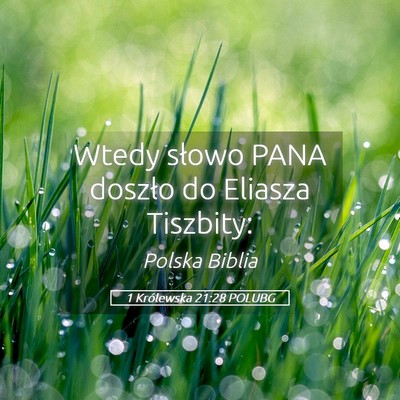 Picture 05 - 1 Królewska 21:28 POLUBG - Wtedy słowo PANA doszło do Eliasza - Bible Verse Picture