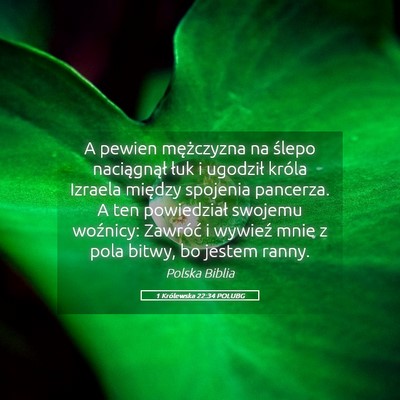 Picture 05 - 1 Królewska 22:34 POLUBG - A pewien mężczyzna na ślepo naciągnął łuk - Bible Verse Picture