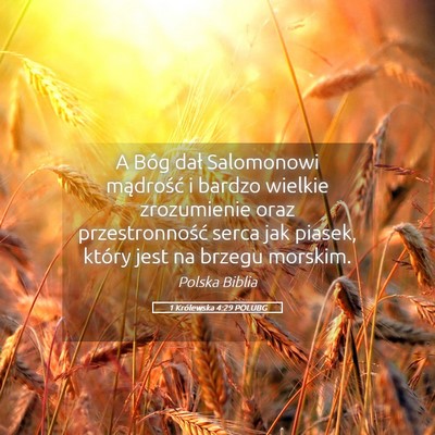 Picture 05 - 1 Królewska 4:29 POLUBG - A Bóg dał Salomonowi mądrość i bardzo - Bible Verse Picture