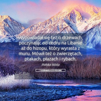 Picture 05 - 1 Królewska 4:33 POLUBG - Wypowiadał się też o drzewach, poczynając od - Bible Verse Picture