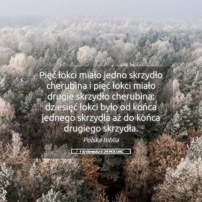 Picture 05 - 1 Królewska 6:24 POLUBG - Pięć łokci miało jedno skrzydło cherubina i - Bible Verse Picture