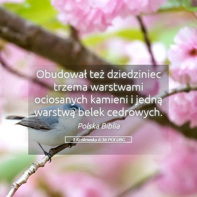 Picture 05 - 1 Królewska 6:36 POLUBG - Obudował też dziedziniec trzema warstwami - Bible Verse Picture