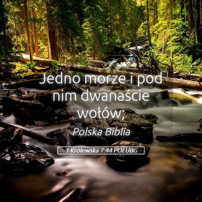 Picture 05 - 1 Królewska 7:44 POLUBG - Jedno morze i pod nim dwanaście - Bible Verse Picture