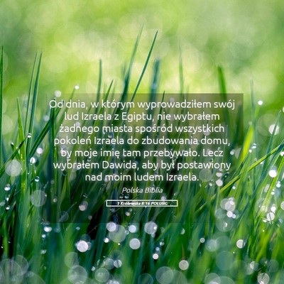 Picture 05 - 1 Królewska 8:16 POLUBG - Od dnia, w którym wyprowadziłem swój lud - Bible Verse Picture