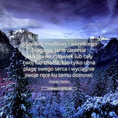 Picture 05 - 1 Królewska 8:38 POLUBG - Wszelkiej modlitwy i wszelkiego błagania, jakie - Bible Verse Picture