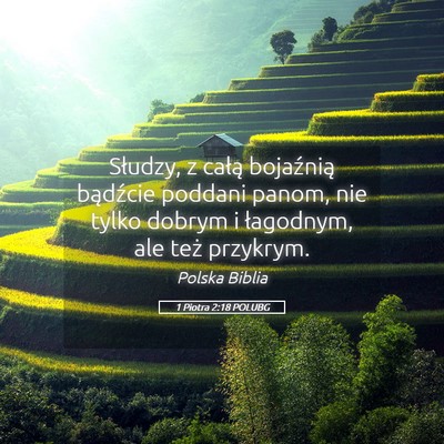 Picture 05 - 1 Piotra 2:18 POLUBG - Słudzy, z całą bojaźnią bądźcie poddani - Bible Verse Picture