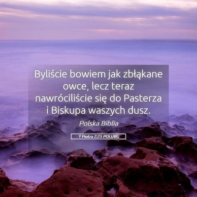 Picture 05 - 1 Piotra 2:25 POLUBG - Byliście bowiem jak zbłąkane owce, lecz teraz - Bible Verse Picture