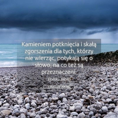 Picture 05 - 1 Piotra 2:8 POLUBG - Kamieniem potknięcia i skałą zgorszenia dla - Bible Verse Picture