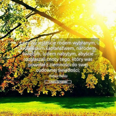 Picture 05 - 1 Piotra 2:9 POLUBG - Lecz wy jesteście rodem wybranym, królewskim - Bible Verse Picture