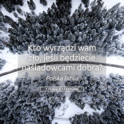 Picture 05 - 1 Piotra 3:13 POLUBG - Kto wyrządzi wam zło, jeśli będziecie - Bible Verse Picture
