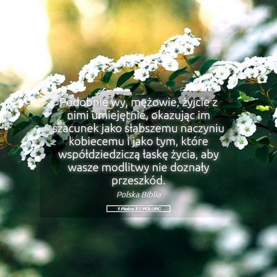 Picture 05 - 1 Piotra 3:7 POLUBG - Podobnie wy, mężowie, żyjcie z nimi - Bible Verse Picture