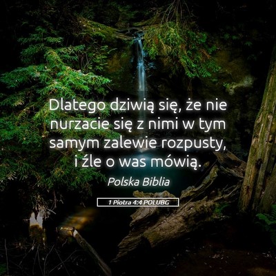 Picture 05 - 1 Piotra 4:4 POLUBG - Dlatego dziwią się, że nie nurzacie się z - Bible Verse Picture
