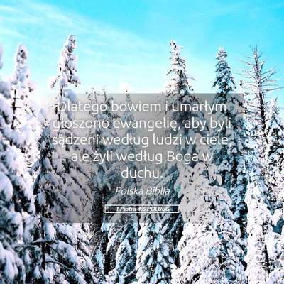 Picture 05 - 1 Piotra 4:6 POLUBG - Dlatego bowiem i umarłym głoszono ewangelię, - Bible Verse Picture