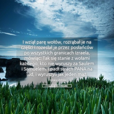 Picture 05 - 1 Samuela 11:7 POLUBG - I wziął parę wołów, rozrąbał je na - Bible Verse Picture