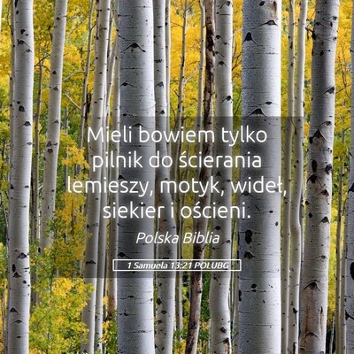 Picture 05 - 1 Samuela 13:21 POLUBG - Mieli bowiem tylko pilnik do ścierania lemieszy, - Bible Verse Picture