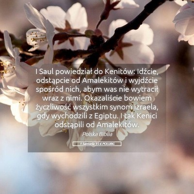 Picture 05 - 1 Samuela 15:6 POLUBG - I Saul powiedział do Kenitów: Idźcie, - Bible Verse Picture