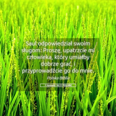 Picture 05 - 1 Samuela 16:17 POLUBG - Saul odpowiedział swoim sługom: Proszę, - Bible Verse Picture