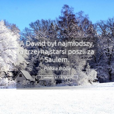 Picture 05 - 1 Samuela 17:14 POLUBG - A Dawid był najmłodszy, a trzej najstarsi - Bible Verse Picture