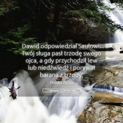 Picture 05 - 1 Samuela 17:34 POLUBG - Dawid odpowiedział Saulowi: Twój sługa pasł - Bible Verse Picture