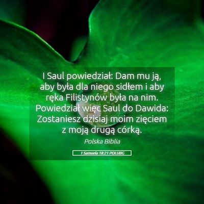 Picture 05 - 1 Samuela 18:21 POLUBG - I Saul powiedział: Dam mu ją, aby była dla - Bible Verse Picture