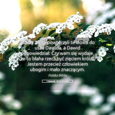 Picture 05 - 1 Samuela 18:23 POLUBG - Słudzy Saula powtórzyli te słowa do uszu - Bible Verse Picture