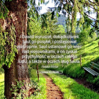 Picture 05 - 1 Samuela 18:5 POLUBG - I Dawid wyruszał, dokądkolwiek Saul go - Bible Verse Picture